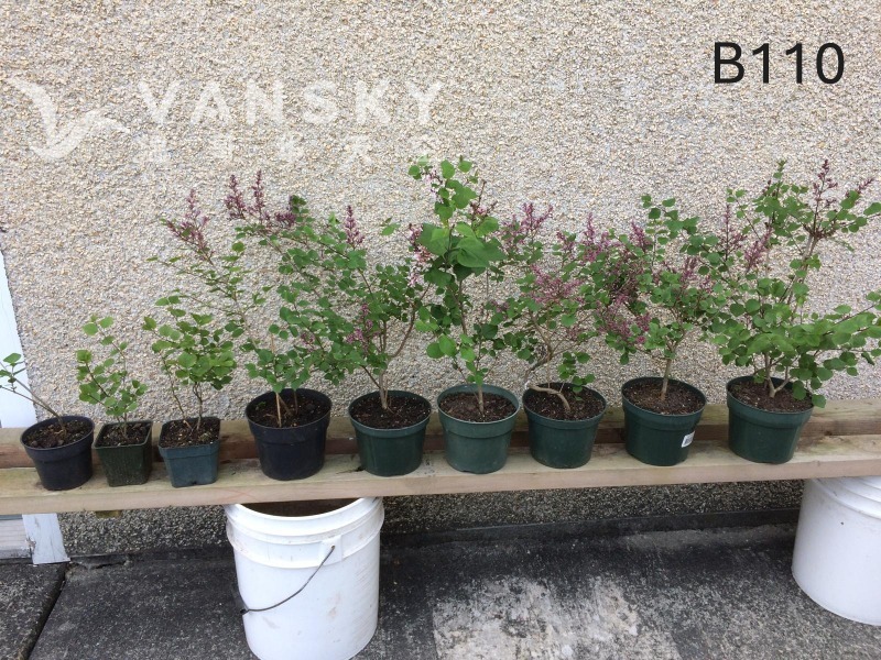 250920112652_B110 31 - 25-09.JPG